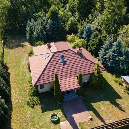 Forest Villa - Pokoje W Poblizu Suntago Krzyzowka  外观 照片